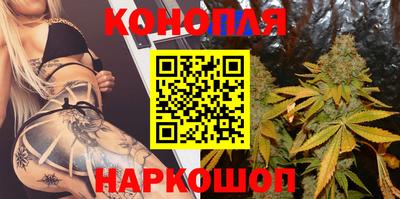 индика Рузаевка